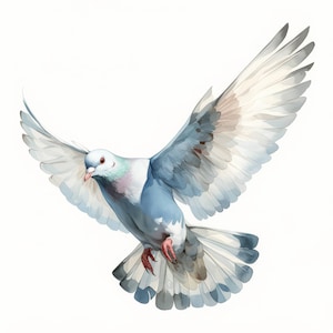 Serene White Pigeon Clipart 18 High Res Watercolor JPGs for Junk Journaling, Scrapbooking, Card Making, Digital Download, Fantasy, Whimsical