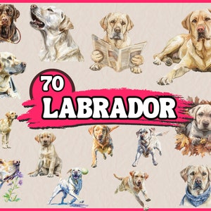 Aquarel labrador clipartbundel, hondenras clip art set, dier huisdier png-afbeelding, honden portret clipart, commerciële digitale afbeelding