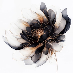 May include: A black and gold flower with delicate petals. The flower is rendered in a watercolor style, with soft edges and a translucent appearance.