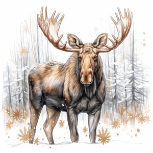 10 Winter Moose Clipart Bundle, Woodland Moose Illustration, Printable Watercolor Clipart, High Quality JPG, Paper Craft, Junk Journals