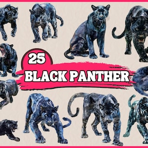 25 ブラックパンサー クリップアート | 大型猫のイラスト | 印刷可能な水彩画 | 高品質 PNG | デジタル ダウンロード | ペーパー クラフト | ジャンク ジャーナル
