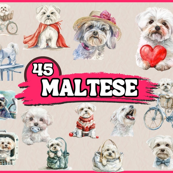 Watercolor Maltese Clipart Bundle, Malta Dog Breed Clip Art Set, Animal Pet PNG Graphic, Canine Portrait Clipart, Digital Illustration