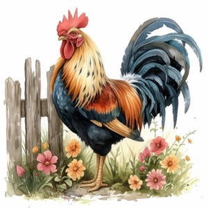 May include: Watercolor illustration of a rooster with vibrant plumage, including red comb and wattle, gold neck feathers, and blue tail feathers. The rooster stands near a weathered wooden fence and colorful flowers, evoking a farm or countryside theme.
