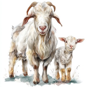 12 adorabili clipart di capre, simpatiche illustrazioni di animali da fattoria, clipart di acquerelli stampabili, JPG di alta qualità, creazioni di carta, diari spazzatura