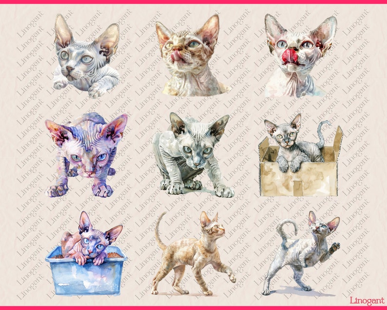 Devon Rex and Sphnyx Clipart Bundle, Cat Breed Clip Art Set, Watercolor ...
