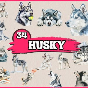 Aquarel husky clipartbundel, hondenrassen clip art set, dierlijk huisdier png-afbeeldingen, honden portret clipart, commerciële digitale illustraties