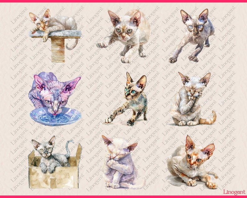 Devon Rex and Sphnyx Clipart Bundle, Cat Breed Clip Art Set, Watercolor ...