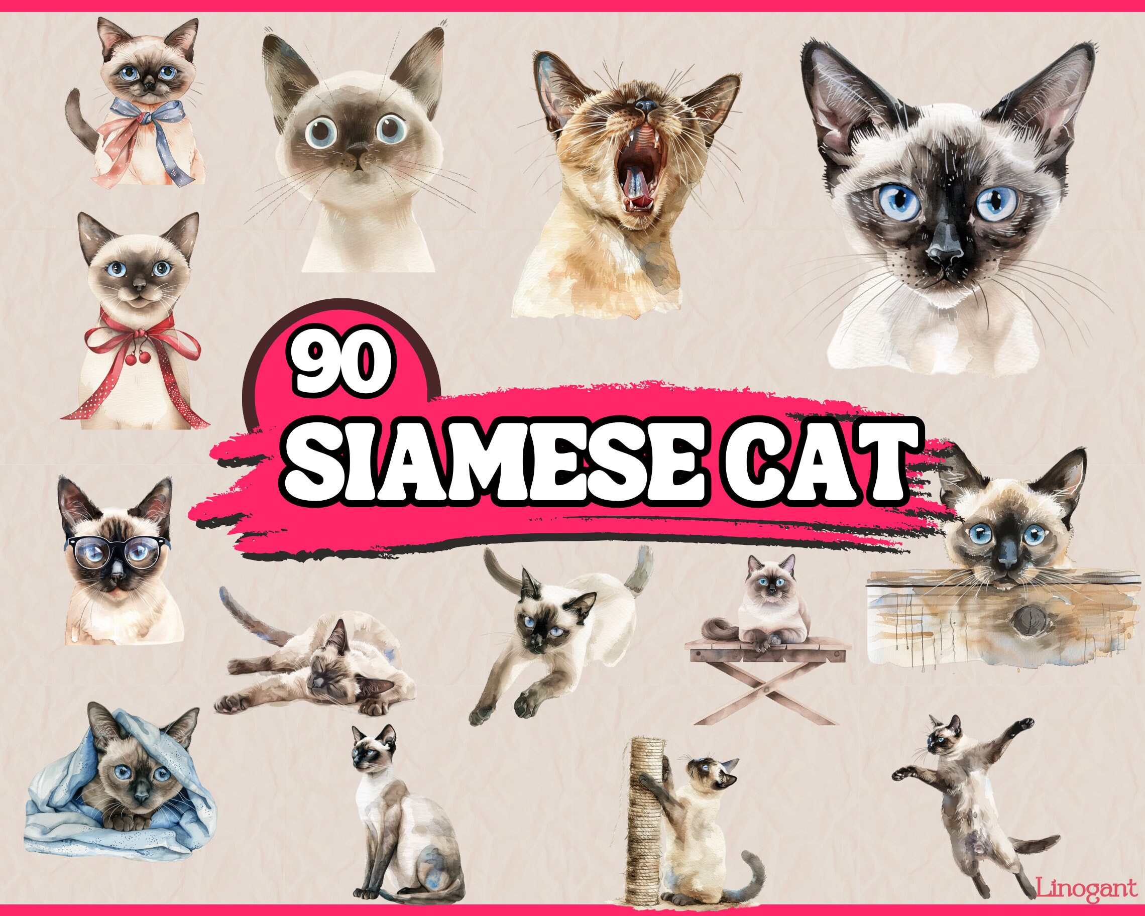 シャム猫の絵 水彩画 原画 額付き「白い薔薇とシャム猫」 シャム猫の絵