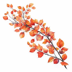 10 Falling Autumn Leaves Clipart Bundle, Oak Tree Illustration ...