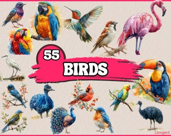 May include: Watercolor illustrations of various birds, including a blue and yellow macaw, a hummingbird, a flamingo, and a toucan. The image includes the text "55 BIRDS" on a pink background.