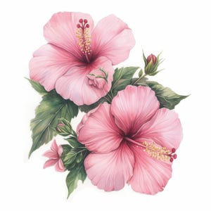 11 Hibiscus Clipart Bundle, Tropical Flower Art Illustration, Printable Watercolor Clipart, High Quality JPG, Paper Craft, Junk Journals