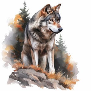 15 Wolf Clipart Bundle, Majestic Forest Animal Illustration, Printable Watercolor Clipart, High Quality JPG, Paper Craft, Junk Journals