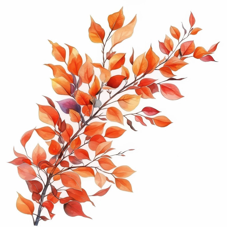 10 Falling Autumn Leaves Clipart Bundle, Oak Tree Illustration ...