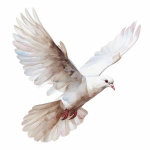 10 White Dove Clipart Bundle, Peaceful Memorial Dove Illustration, Printable Watercolor Clipart, High Quality JPG, Paper Craft, Junk Journal