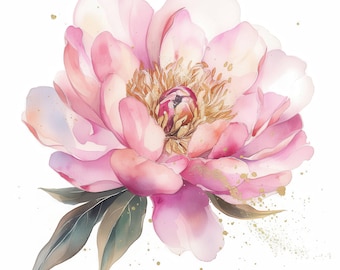 Op de afbeelding: Waterverfillustratie van een roze pioenroos met gouden accenten. De bloem heeft meerdere lagen zachte roze bloemblaadjes en een getextureerd centrum. Groene bladeren en gouden verfspatten completeren het ontwerp, tegen een witte achtergrond.