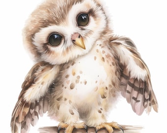 10 Cute Forest Owl Clipart Bundle, Adorable Baby Owl Illustration, Printable Watercolor Clipart, High Quality JPG, Paper Craft, Junk Journal