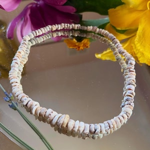 May include: A necklace composed of small, circular, off-white and light brown shell beads strung together in a continuous loop. The beads have a natural, textured appearance with subtle variations in color, creating a simple, organic aesthetic.