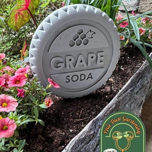May include: A gray, circular garden marker with the words "GRAPE SODA" in bold letters. The marker features a grape cluster design and a textured edge, placed among pink flowers and greenery.