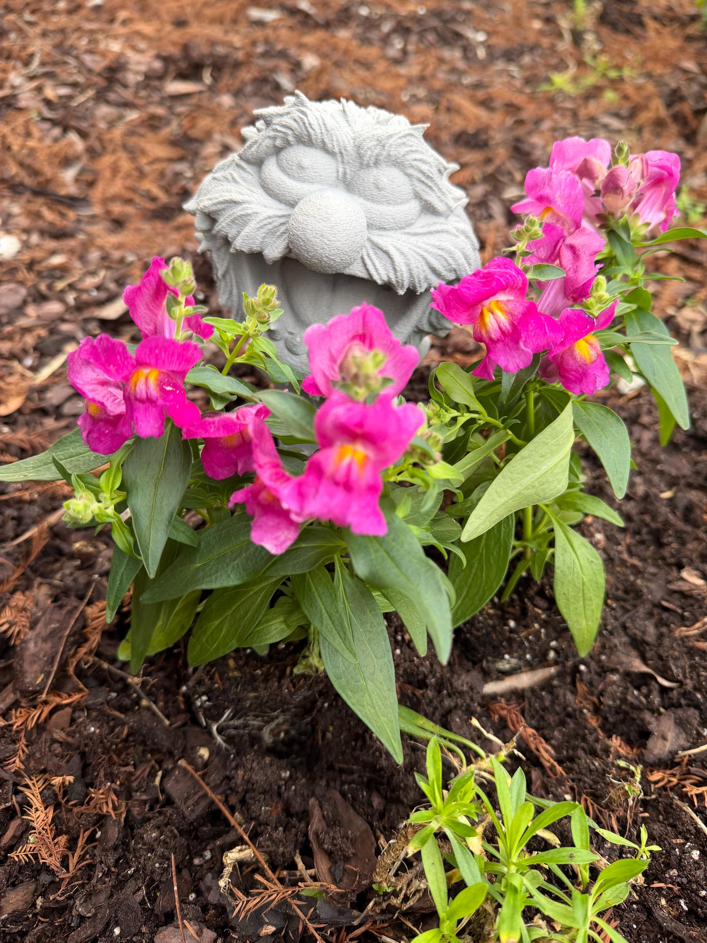 Animal Garden Statue Muppets Decor Flower Magic Characters Disney Epcot ...