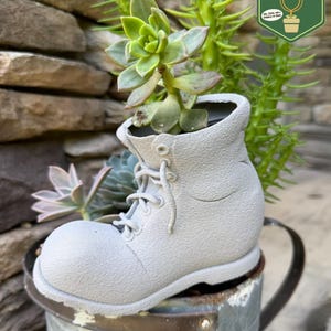 May include: A light gray, textured boot-shaped planter containing a green succulent plant. The boot features molded laces and eyelets, with a rounded toe and a thick sole. A green logo with the text Pixie Dust Gardening is visible.