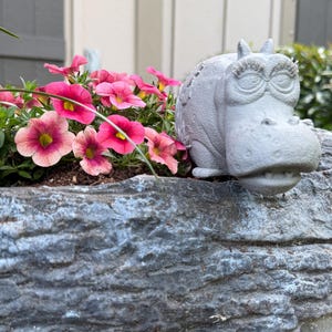 May include: A gray, concrete hippo planter with a smiling face sits next to vibrant pink flowers with yellow centers. The planter is on a textured, gray stone surface, creating a whimsical garden scene.