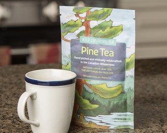 Wildcrafted, Handpicked Organic Pine Tea from Algonquin, Canada