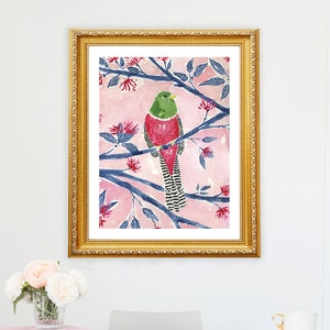 Tropical Bird Art Print Wall Decor Painting Exotic Colorful Watercolor Jungle Birds Illustration Bohemian Boho Style Lindsay Brackeen