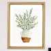 see more listings in the Fleurs & Plantes section