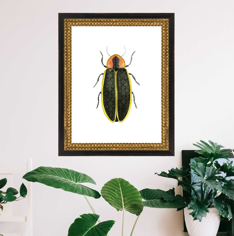 Firefly Art Print Bug Insect Entomology Lightening Boys Girls Room Childrens Kids Baby Nursery Nature Wall Decor Farmhouse Modern Painting image 1