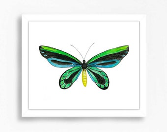 Butterfly Insect Bug Art Blue Green Entomology Print Wall Decor Kids Room Garden Baby Painting Gift Butterflies Watercolor Yellow Modern
