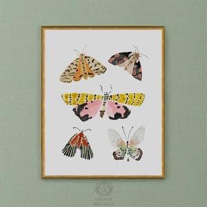 Puede incluir: Una l&aacute;mina art&iacute;stica enmarcada con cinco ilustraciones en acuarela de polillas y mariposas en varios colores, incluyendo amarillo, rosa, negro y blanco. La obra est&aacute; en un marco dorado e incluye el texto Lindsay Brackeen en la parte inferior.