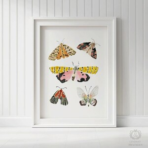 Puede incluir: Una l&aacute;mina art&iacute;stica enmarcada con cinco ilustraciones en acuarela de polillas y mariposas. Los insectos muestran varios patrones y colores, incluyendo amarillo, rosa, negro, naranja y blanco, dispuestos sobre un fondo blanco liso.