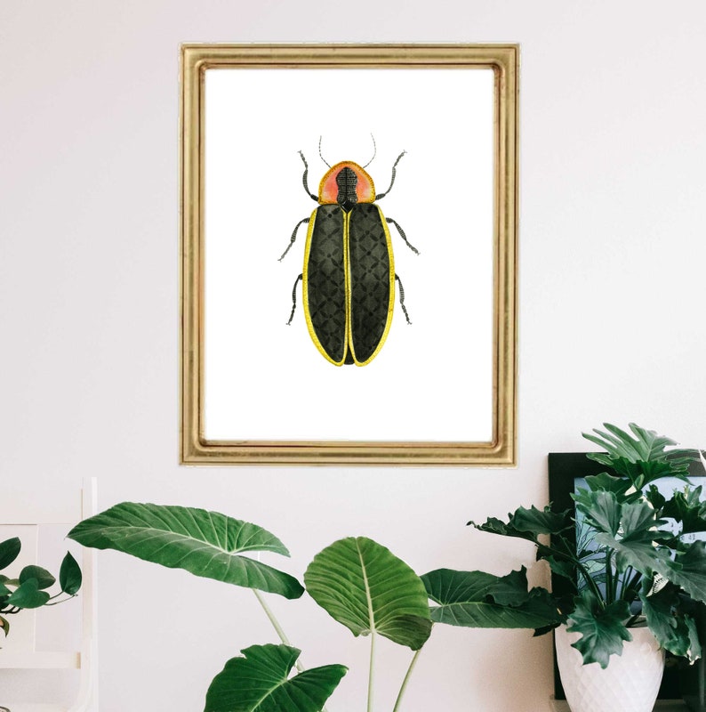 Firefly Art Print Bug Insect Entomology Lightening Boys Girls Room Childrens Kids Baby Nursery Nature Wall Decor Farmhouse Modern Painting image 3