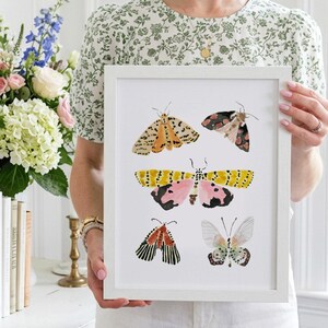 Puede incluir: Una l&aacute;mina art&iacute;stica enmarcada que presenta cinco ilustraciones de polillas en estilo acuarela. Las polillas muestran patrones y colores variados, incluyendo tonos amarillos, rosas, negros, naranjas y blancos, dispuestos verticalmente sobre un fondo blanco.
