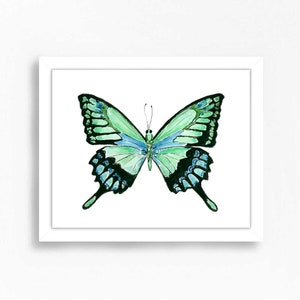 Blue Green Morpho Butterfly Art Insect Bug Kids Baby Wall Decor Children's Room Mounted Girls Print Painting Woodland Nature Secret Garden