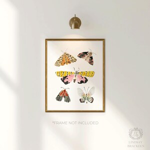 Lámina artística de polilla, arte mural de polilla en acuarela, decoración estilo cottagecore, ilustración de mariposa y polilla, regalo para amantes de la naturaleza, lámina de insectos original. imagen 2