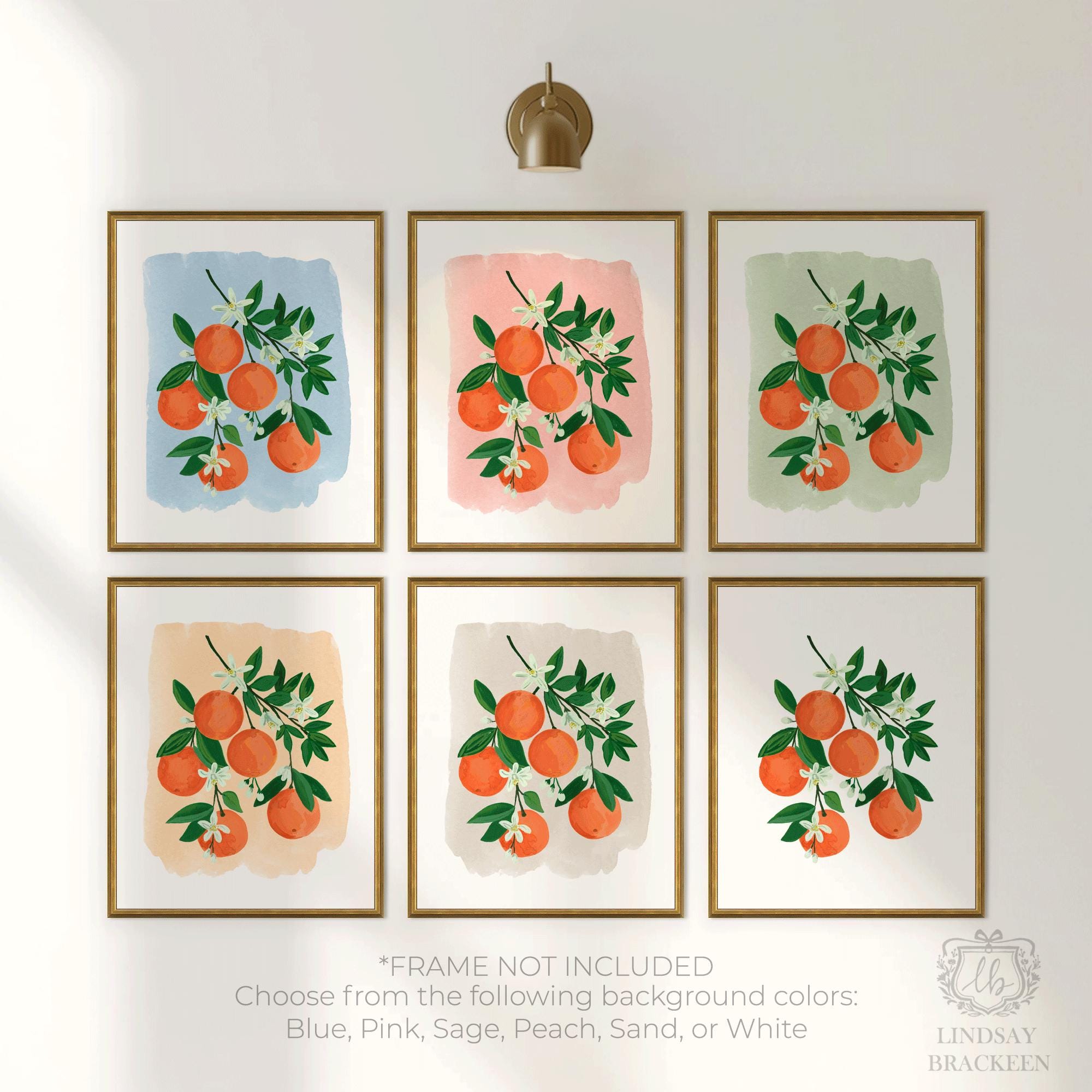 Oranges Orange Clementine Citrus Fruit Blue Rustic Cottage Kitchen