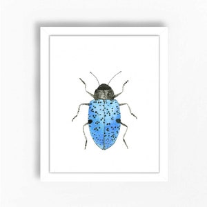 Blue Beetle Art Print Painting Watercolor Entomology Insect Bug Farmhouse Rustic Woodland Animal Nature Whimsical Girls Boys Wall Decor