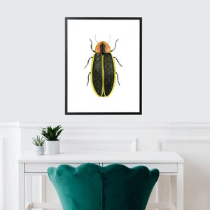 Firefly Art Print Bug Insect Entomology Lightening Boys Girls Room Childrens Kids Baby Nursery Nature Wall Decor Farmhouse Modern Painting image 2