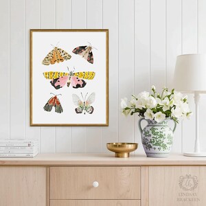 Puede incluir: Una l&aacute;mina de arte enmarcada que presenta cinco ilustraciones de polillas distintas sobre un fondo blanco. Las polillas muestran varios patrones y colores, incluyendo amarillo, rosa, negro y blanco. El marco es de metal dorado fino.