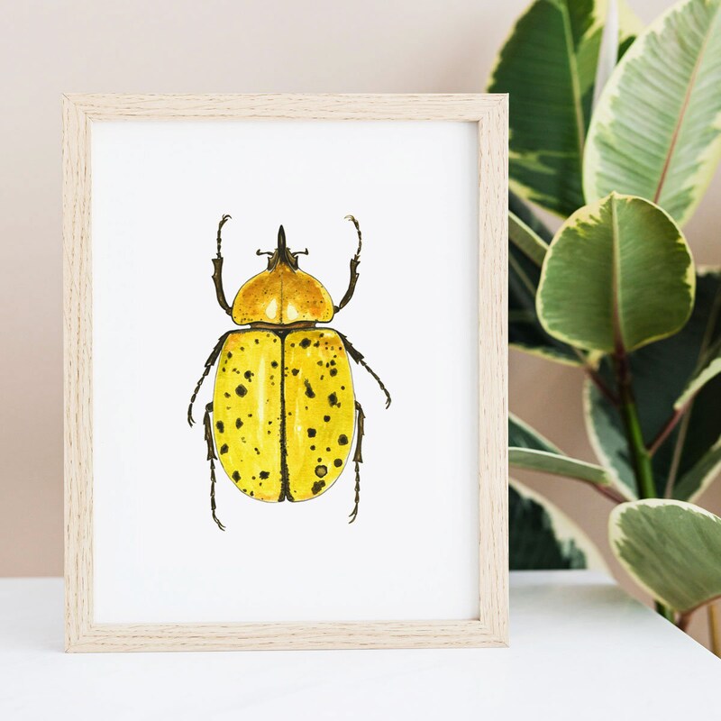 Beetle Print - Etsy