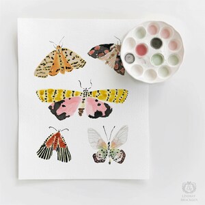 Lámina artística de polilla, arte mural de polilla en acuarela, decoración estilo cottagecore, ilustración de mariposa y polilla, regalo para amantes de la naturaleza, lámina de insectos original. imagen 9