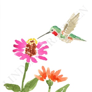 Ruby Throated Hummingbird Art Print, Hummingbird Art, Hummingbird Painting, Bird Print, Hummingbird Art, Hummingbird Watercolor, Bird Art image 3