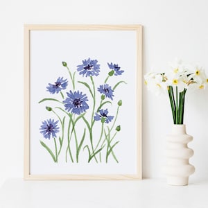 Bachelors Button Print, Cornflower Art, Bachelor Button Painting, Purple Flower Print, Wildflowers Art Print, Floral Watercolor Art