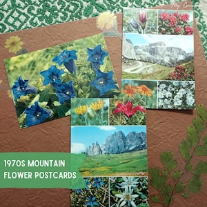 70s vintage mountain flower postcards