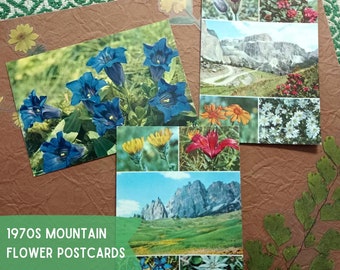 Cartes postales vintage de fleurs de montagne des années 70
