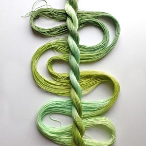 May include: A skein of green embroidery floss, with a braided central section and loose strands. The floss transitions from light to dark green shades. The image is set against a white background, highlighting the texture and color variations.