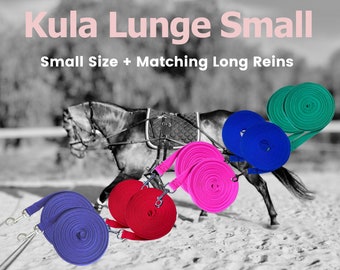 Kula Lunge Small + Matching Long Reins
