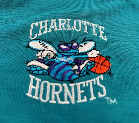 Vintage 90s NBA Charlotte Hornets Starter Large - Teal Purple