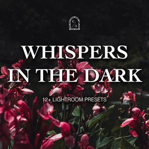Dark Lightroom Presets, Moody Lightroom Presets, Dark Aesthetic, Dark Photography